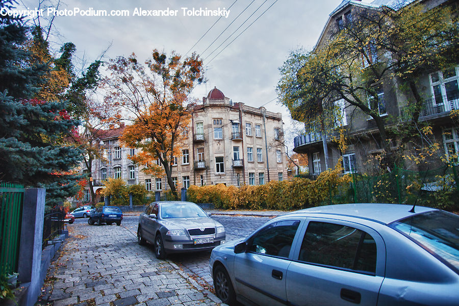 Automobile, Car, Coupe, Sports Car, Vehicle, Apartment Building, Building