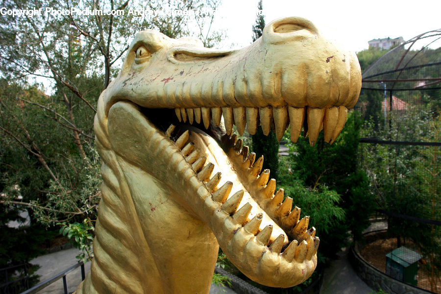 Plant, Potted Plant, Dinosaur, Bench, Umbrella, Outdoors, Roof
