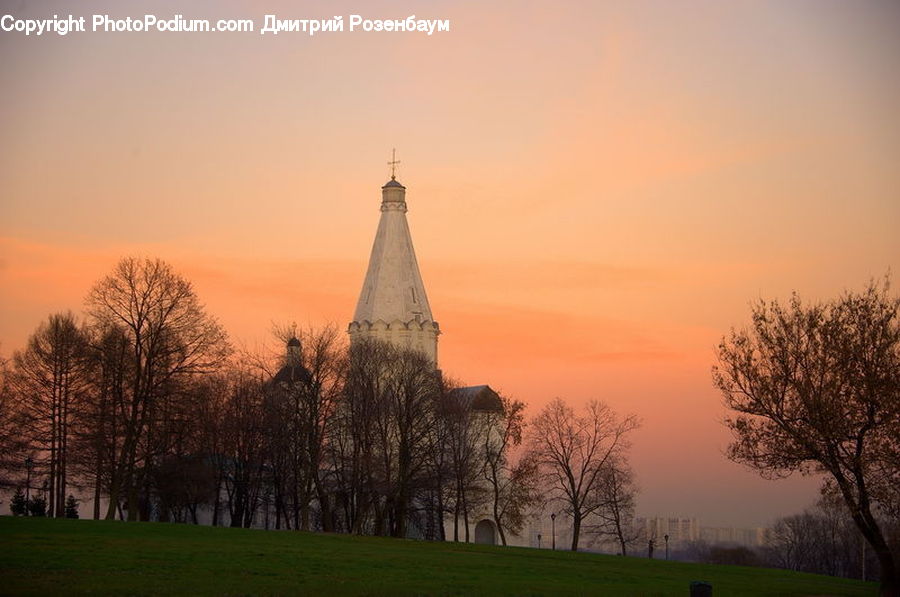 Plant, Tree, Architecture, Church, Worship, Dawn, Dusk