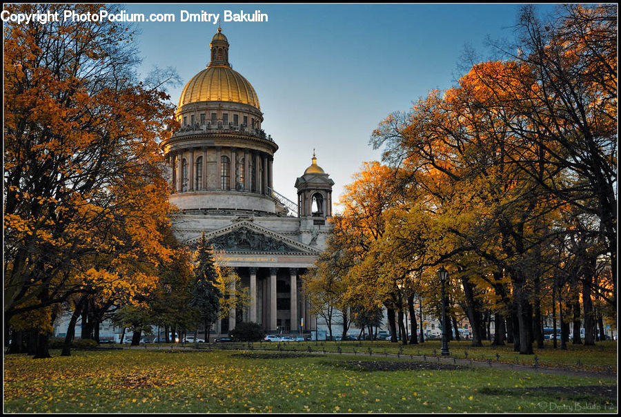 Architecture, Dome, Campus, Cathedral, Church, Worship, Plant