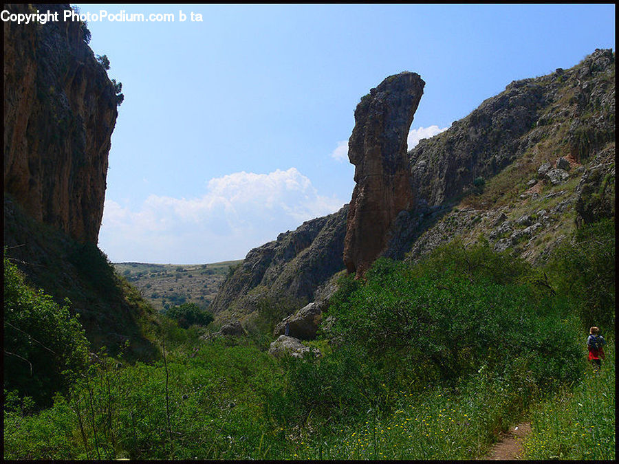 Cliff, Outdoors, Plant, Potted Plant, Landscape, Nature, Scenery