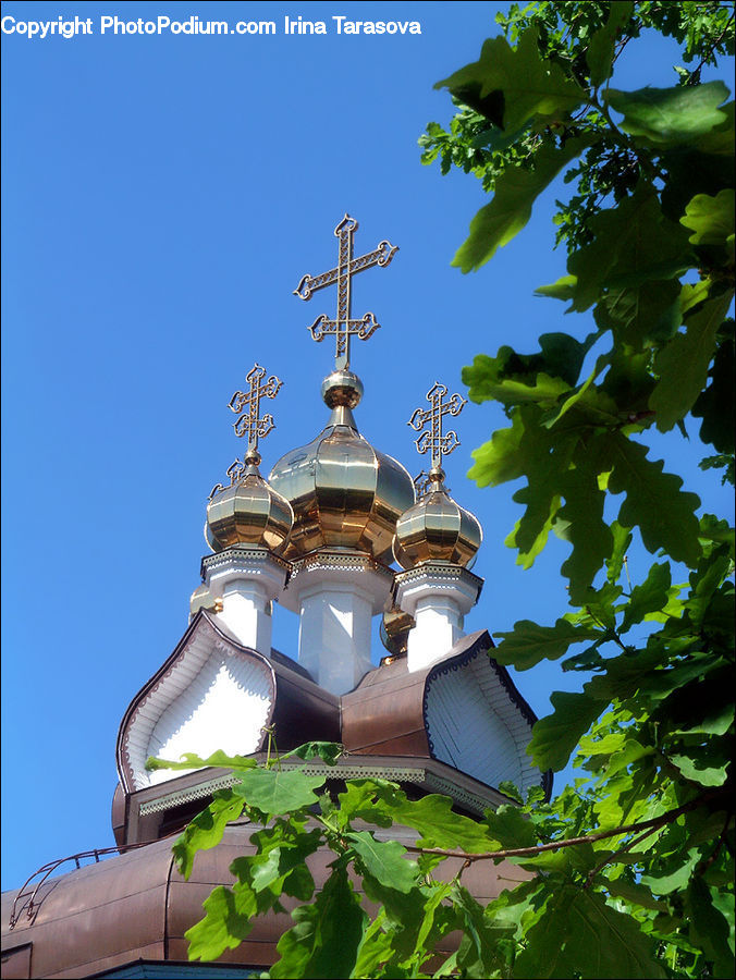 Architecture, Bell Tower, Clock Tower, Tower, Dome, Plant, Potted Plant