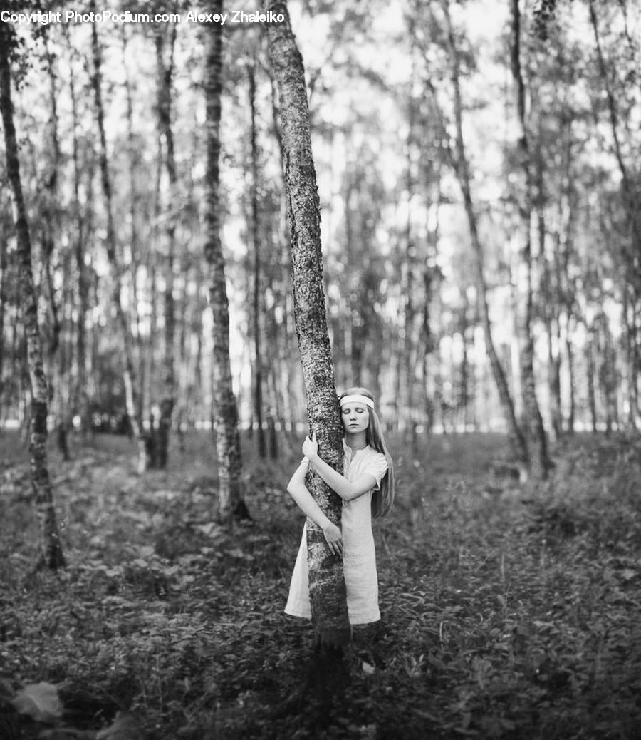 Human, People, Person, Forest, Grove, Land, Vegetation