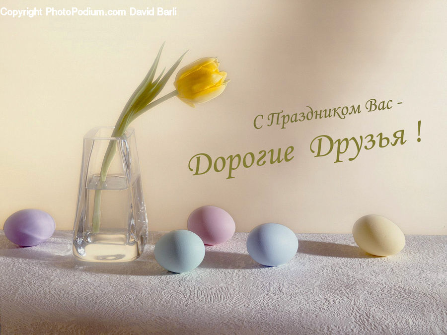 Egg, Birthday Cake, Cake, Dessert, Food, Glass, Goblet