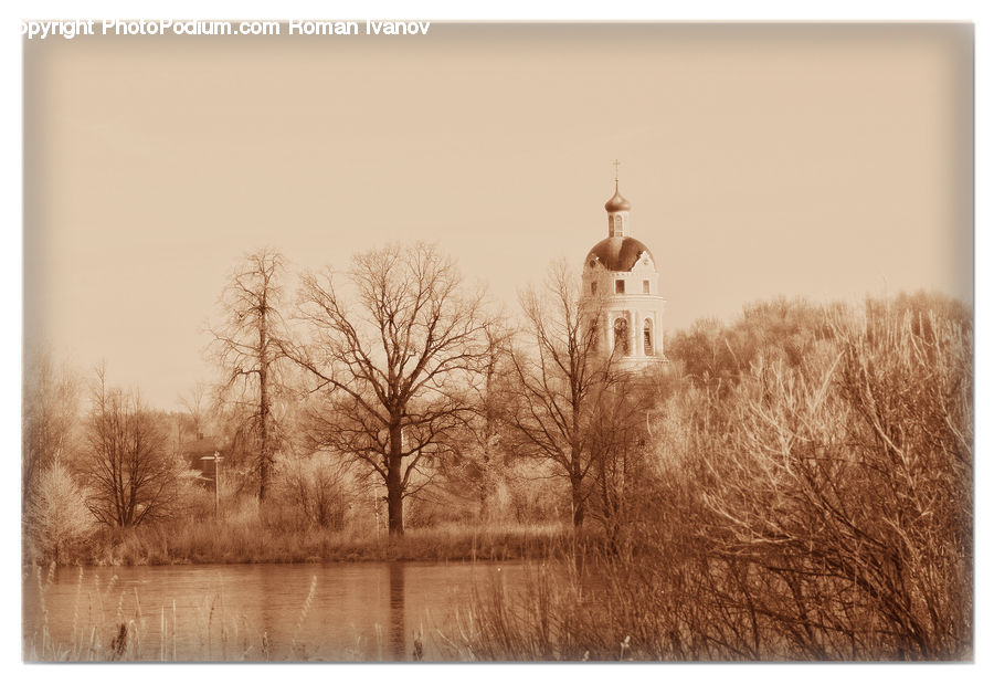 Field, Grass, Grassland, Plant, Architecture, Church, Worship