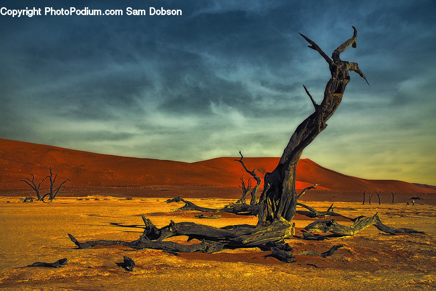 Desert, Outdoors