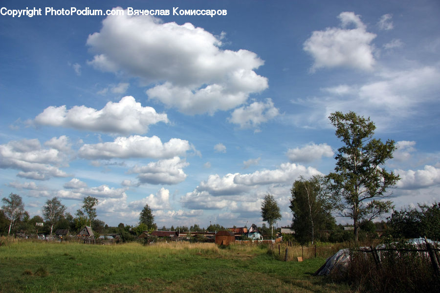 Field, Grass, Grassland, Land, Outdoors, Cloud, Cumulus