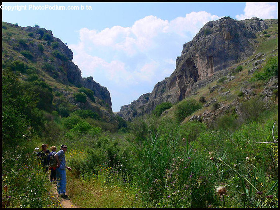 Hiking, Leisure Activities, Outdoors, Dirt Road, Gravel, Road, Bush