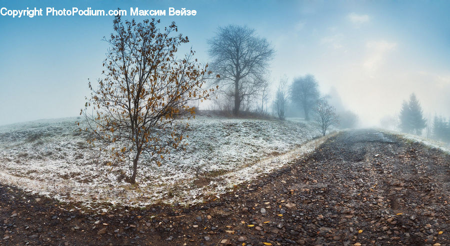 Dirt Road, Gravel, Road, Grassland, Mound, Outdoors, Plateau