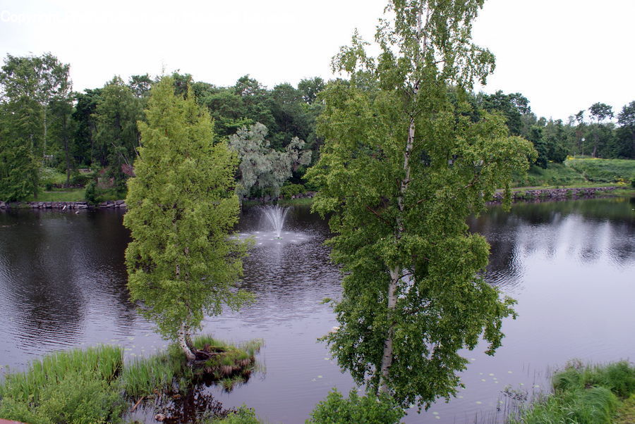 Outdoors, Pond, Water, Canal, Path, Towpath, Land