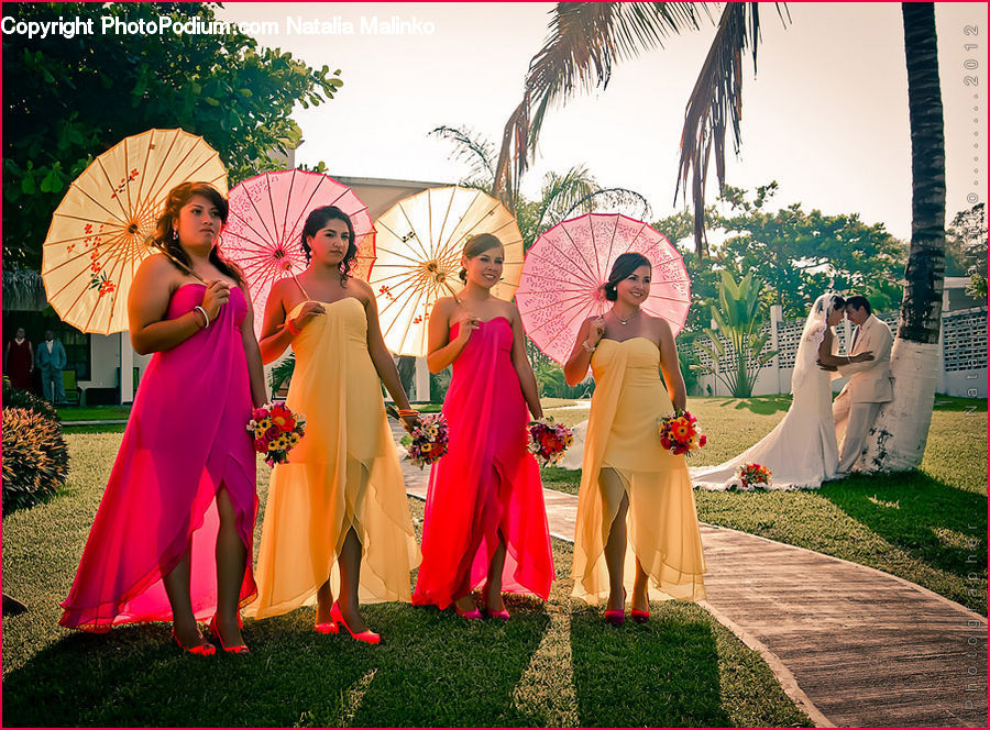 Human, People, Person, Umbrella, Bridesmaid, Plant, Potted Plant