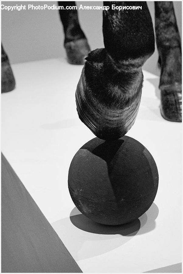 Head, Portrait, Footwear, Shoe