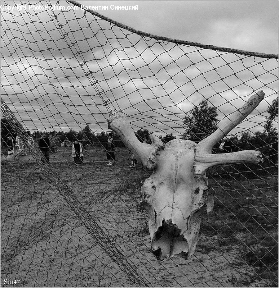 Angus, Animal, Bull, Mammal, Art, Sculpture, Statue