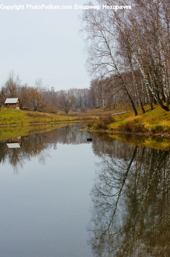 Outdoors, Pond, Water, Field, Grass, Grassland, Plant