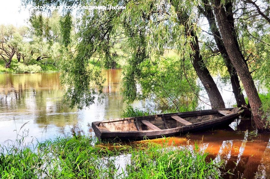Boat, Watercraft, Outdoors, Pond, Water, Canoe, Rowboat