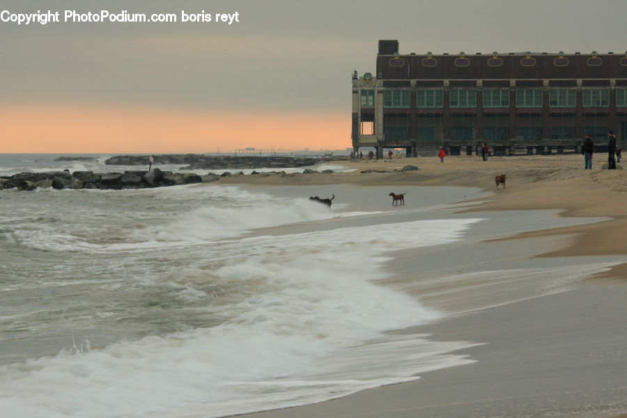 Beach, Coast, Outdoors, Sea, Water, Landscape, Nature