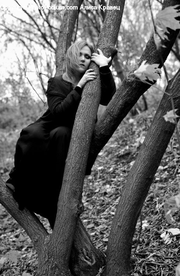 People, Person, Human, Forest, Grove, Land, Vegetation