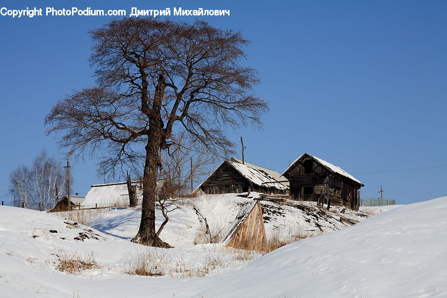 Cabin, Hut, Rural, Shack, Shelter, Building, Cottage