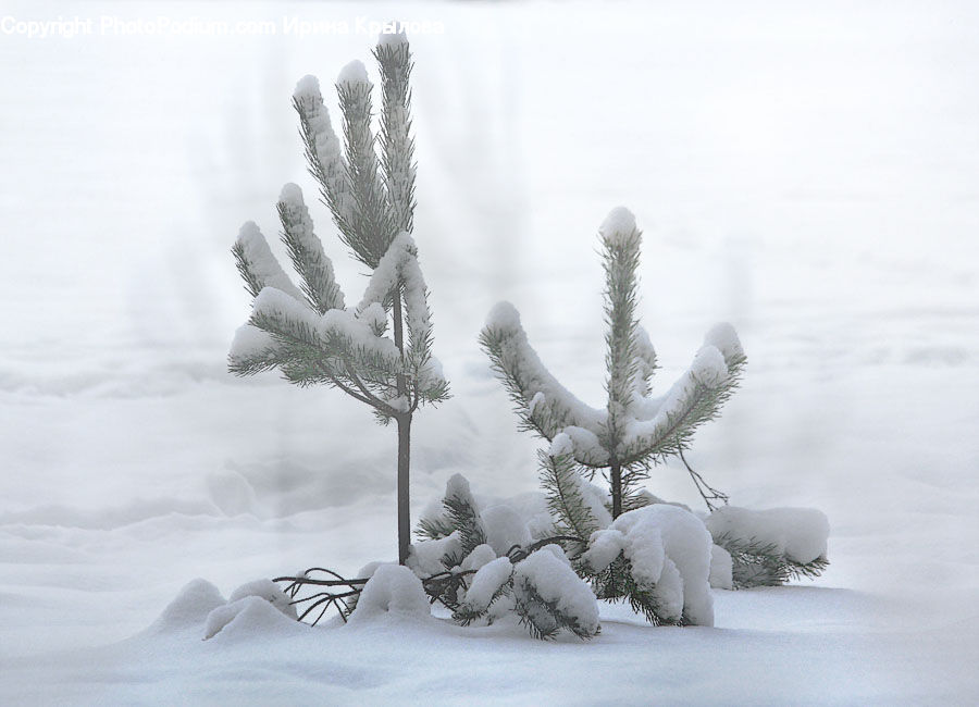Ice, Outdoors, Snow, Blizzard, Weather, Winter, Frost