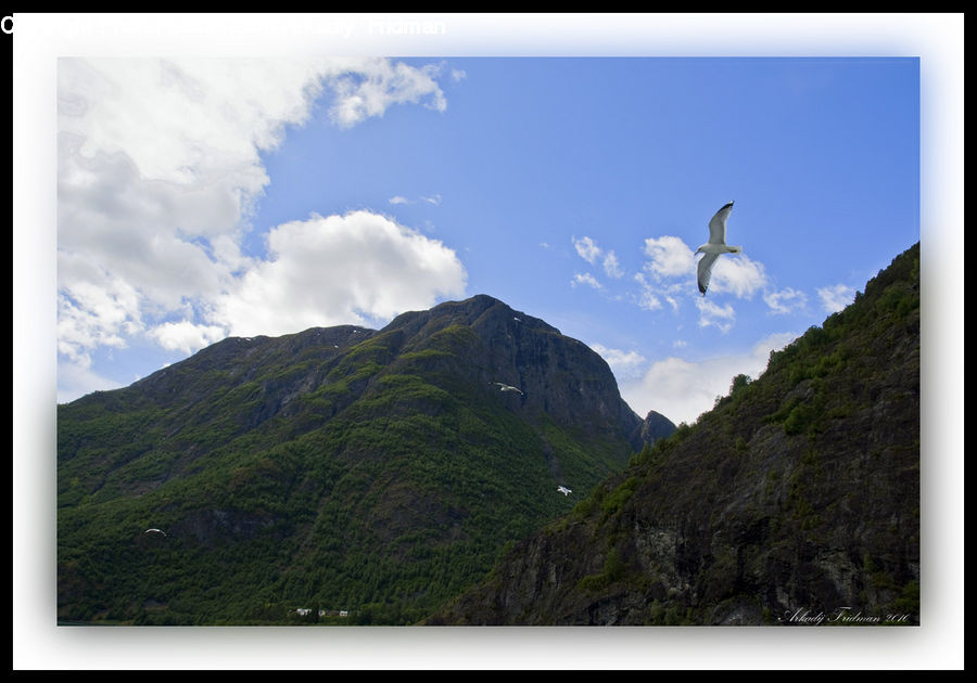 Cloud, Cumulus, Sky, Mountain, Mountain Range, Outdoors