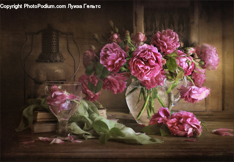 People, Person, Human, Blossom, Flower, Peony, Plant