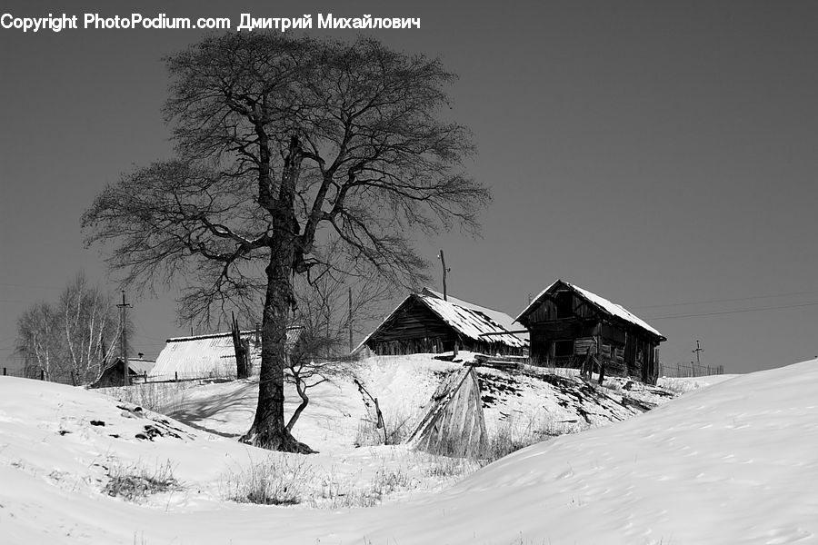 Cabin, Hut, Rural, Shack, Shelter, Ice, Outdoors