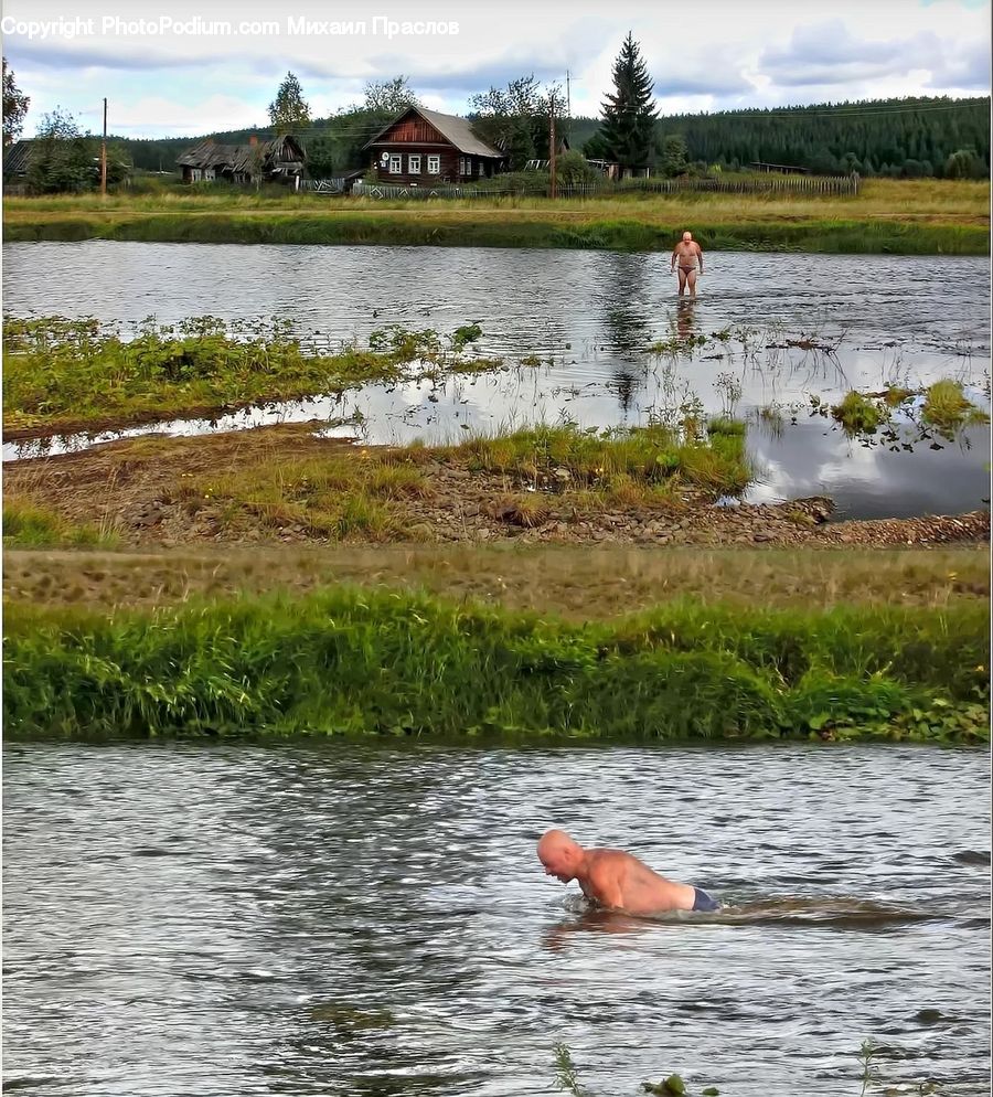 Sport, Swimming, Water, Land, Marsh, Outdoors, Swamp