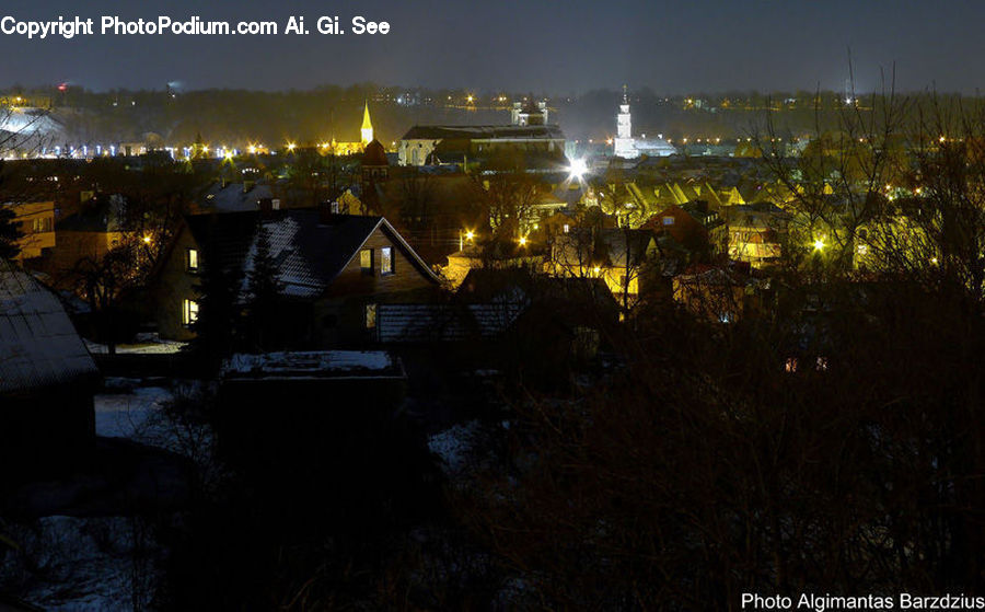 Night, Outdoors, City, Downtown, Metropolis, Urban, Plant