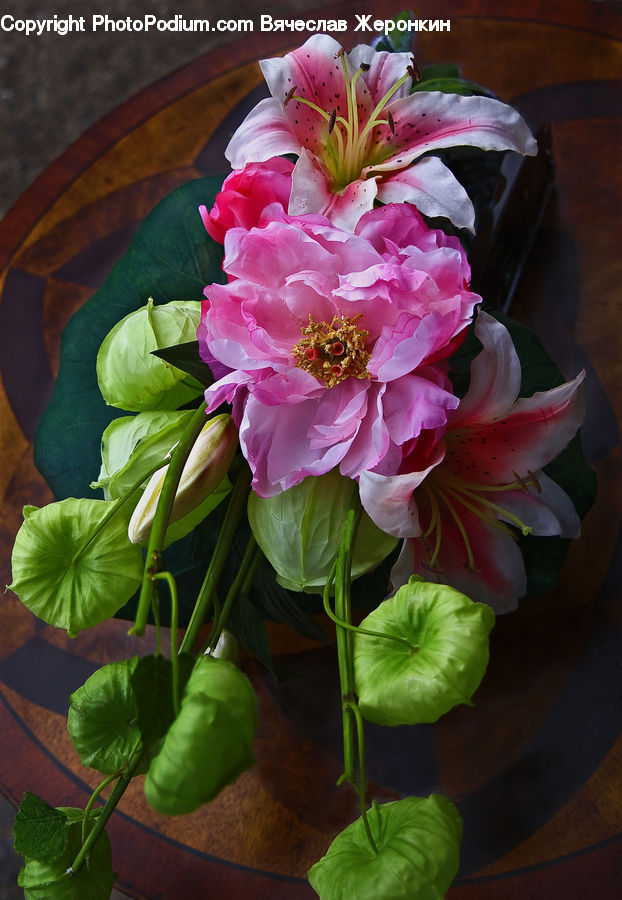 Floral Design, Flower, Flower Arrangement, Flower Bouquet, Ikebana, Blossom, Flora