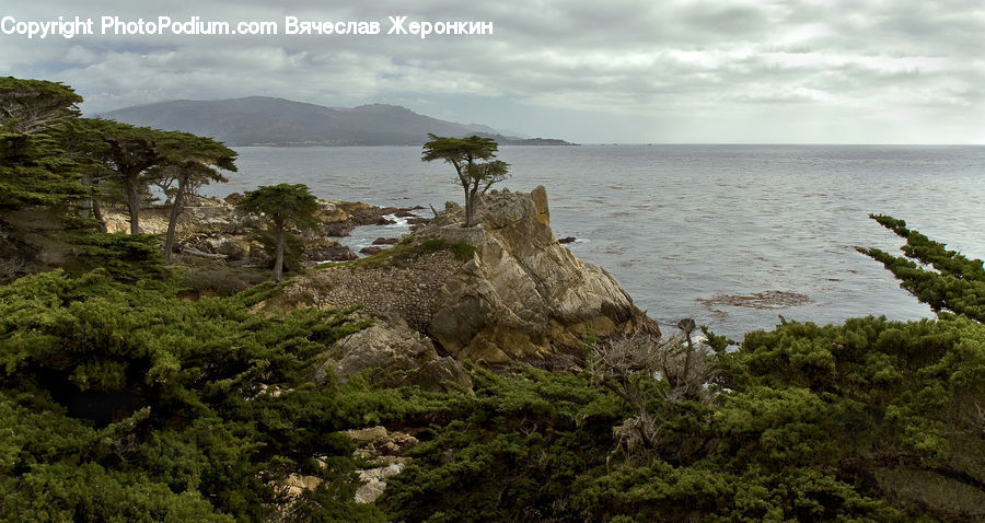 Cliff, Outdoors, Rock, Coast, Sea, Water, Forest