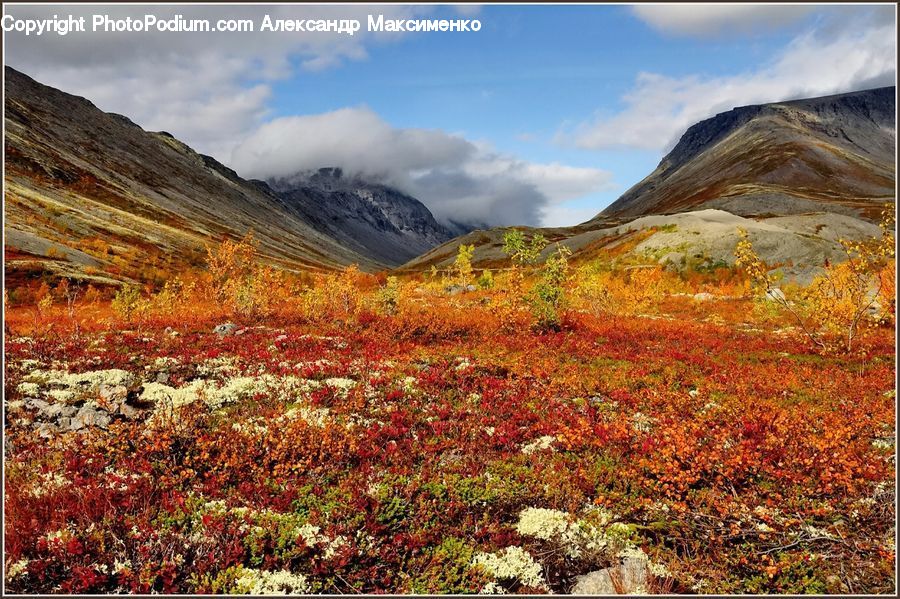 Mountain, Outdoors, Valley, Alps, Crest, Peak, Field