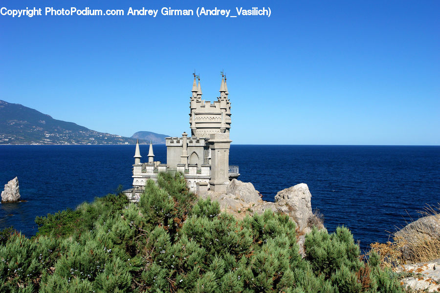 Architecture, Castle, Fort, Conifer, Fir, Plant, Tree