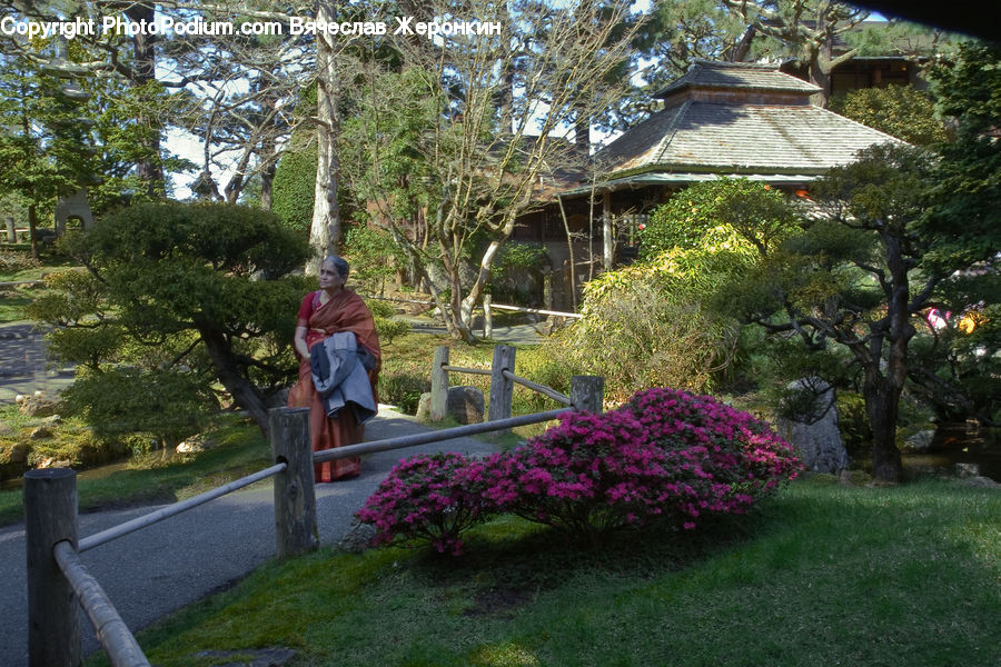 People, Person, Human, Plant, Potted Plant, Bush, Vegetation