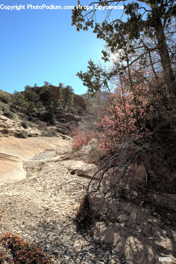 Outdoors, Wilderness, Creek, River, Water, Dirt Road, Gravel