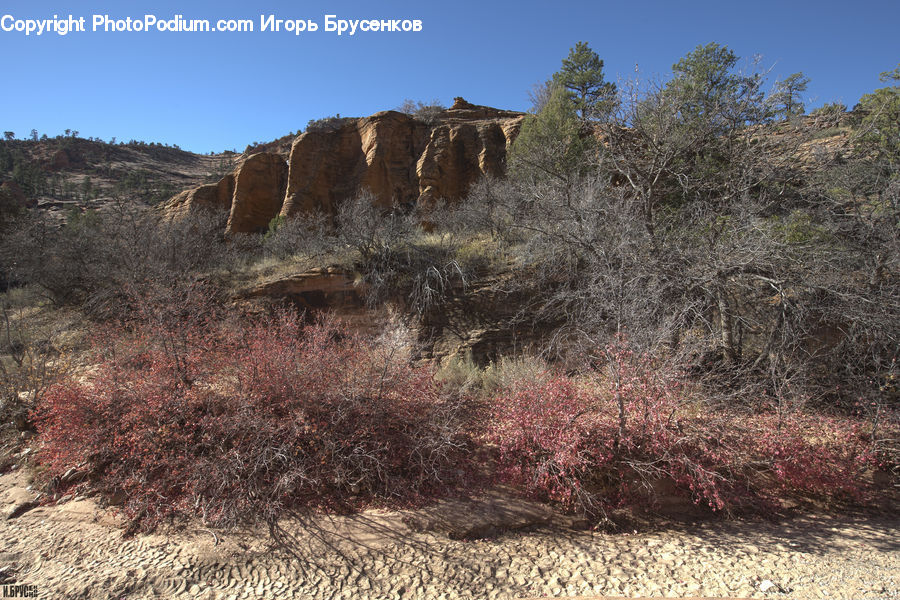Outdoors, Wilderness, Cliff, Ruins, Rock, Mountain, Bush