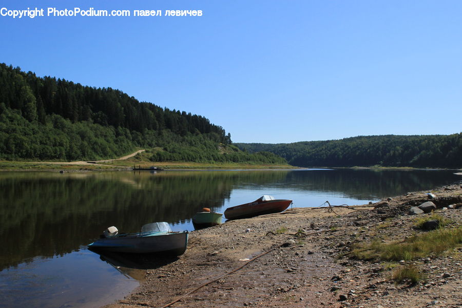 Boat, Canoe, Rowboat, Forest, Vegetation, Dock, Landing