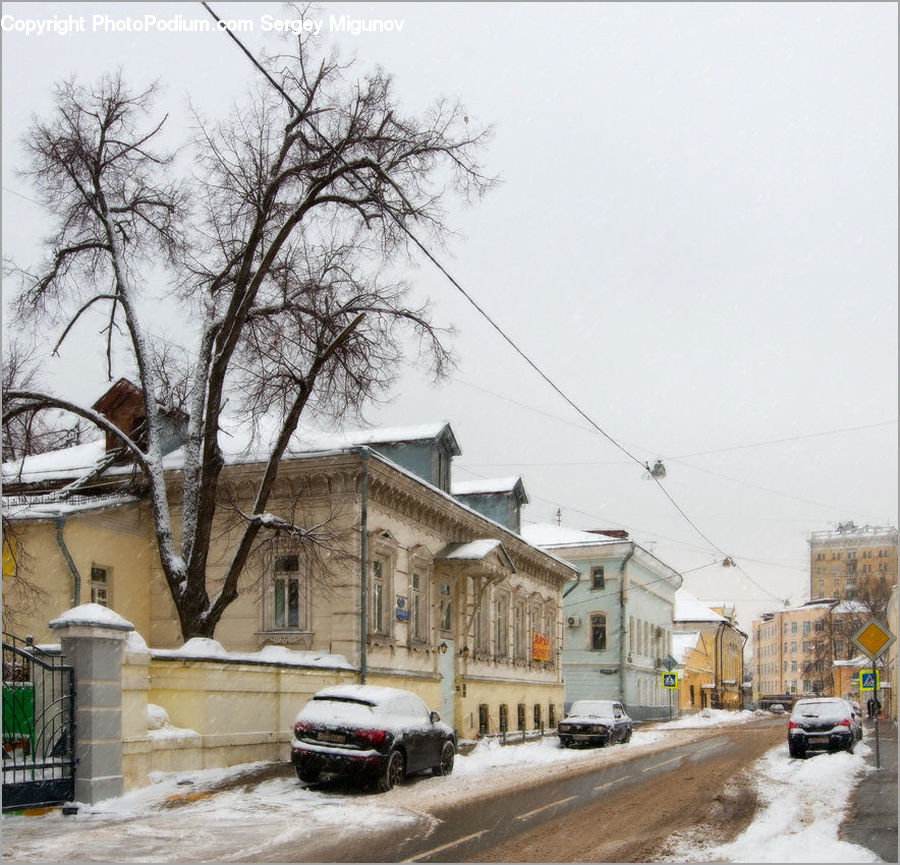 Building, Cottage, Housing, Downtown, Town, Plant, Tree