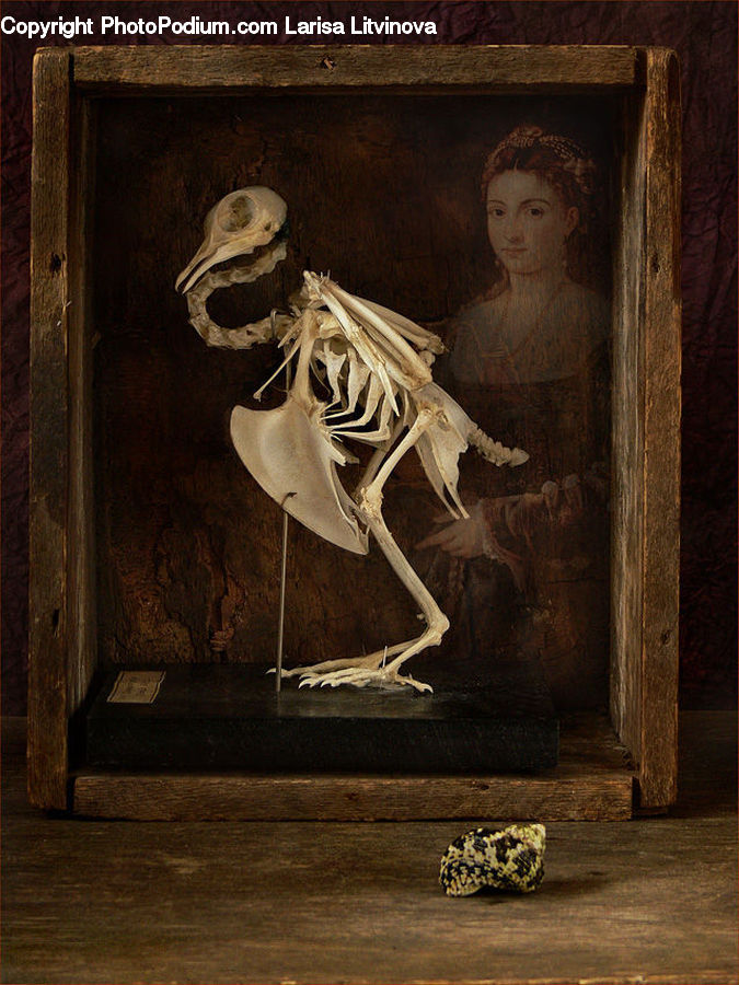 People, Person, Human, Art, Modern Art, Skeleton, Furniture