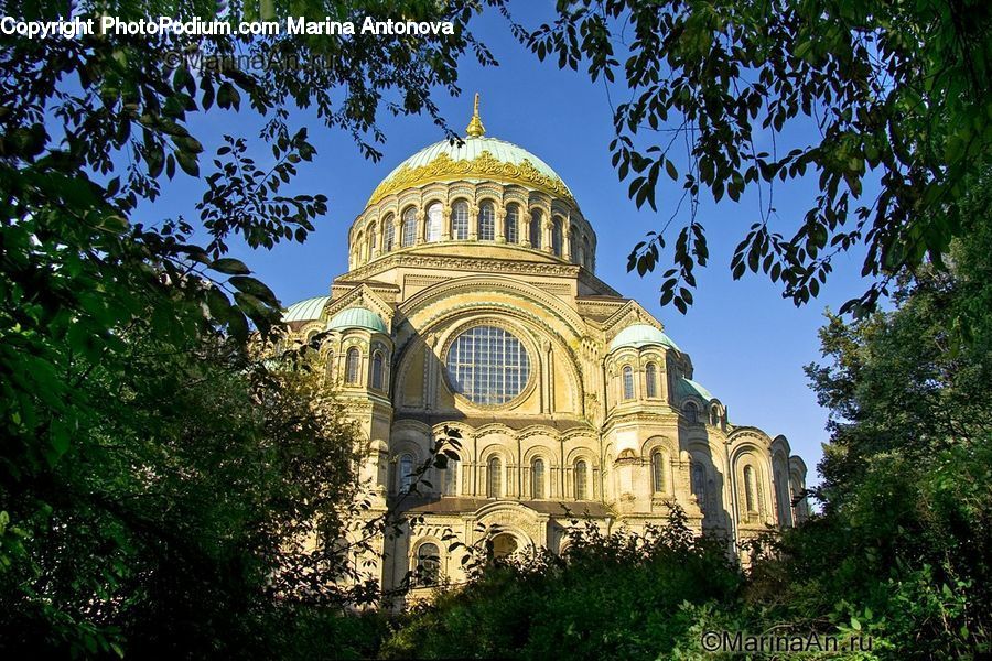 Architecture, Cathedral, Church, Worship, Dome, Plant, Potted Plant