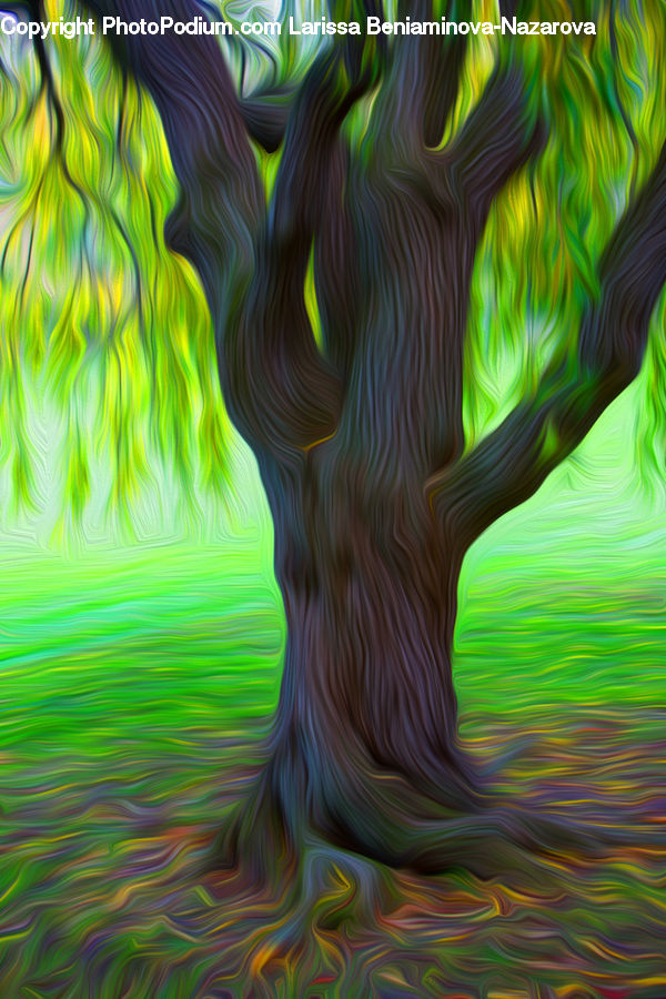 Plant, Tree, Art, Modern Art, Blossom, Flora, Flower