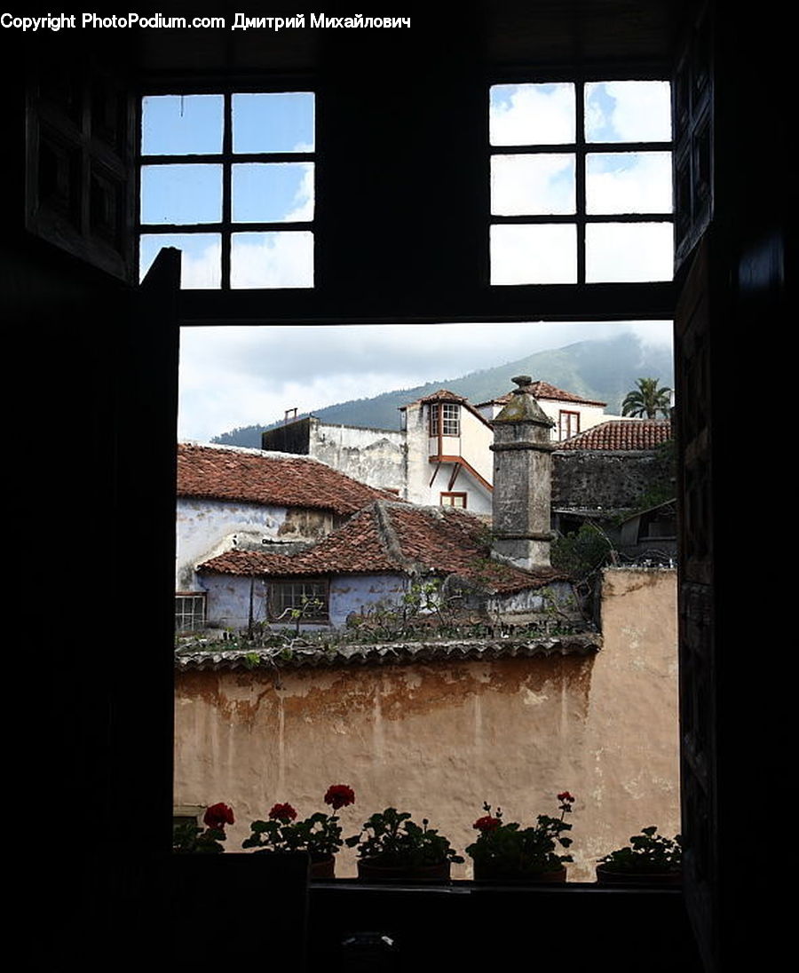 Plant, Potted Plant, Window, Architecture, Housing, Skylight, Castle