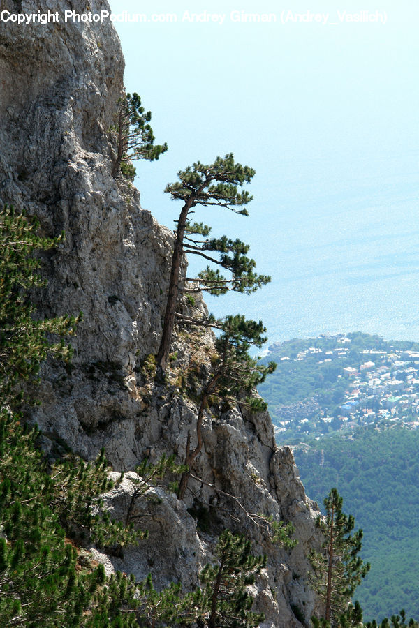 Cliff, Outdoors, Landscape, Nature, Scenery, Rock, Plant