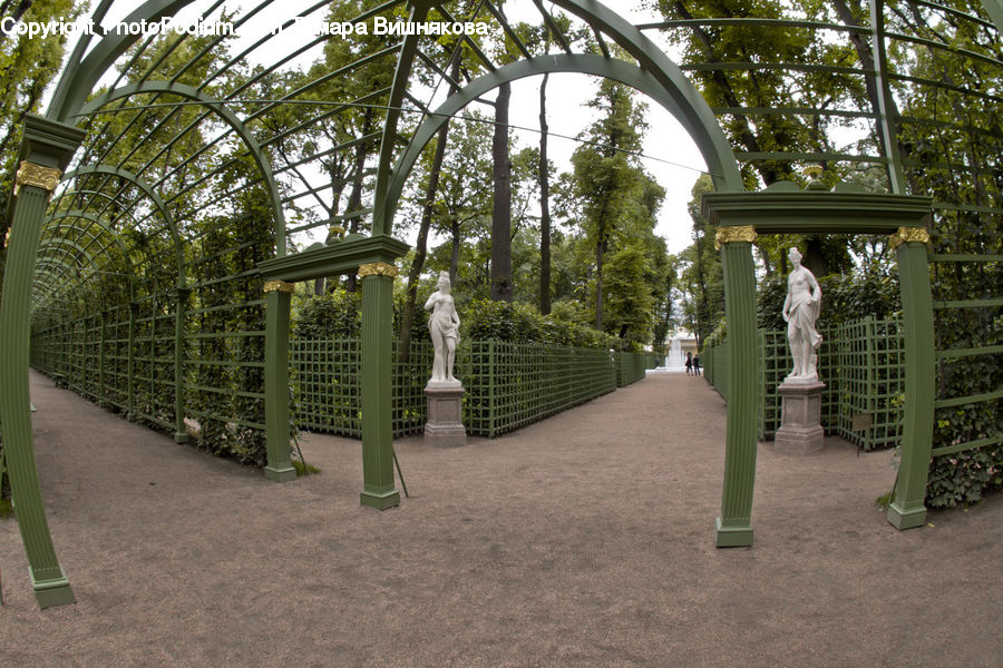 Patio, Pergola, Porch, Gazebo, Forest, Vegetation, Conifer