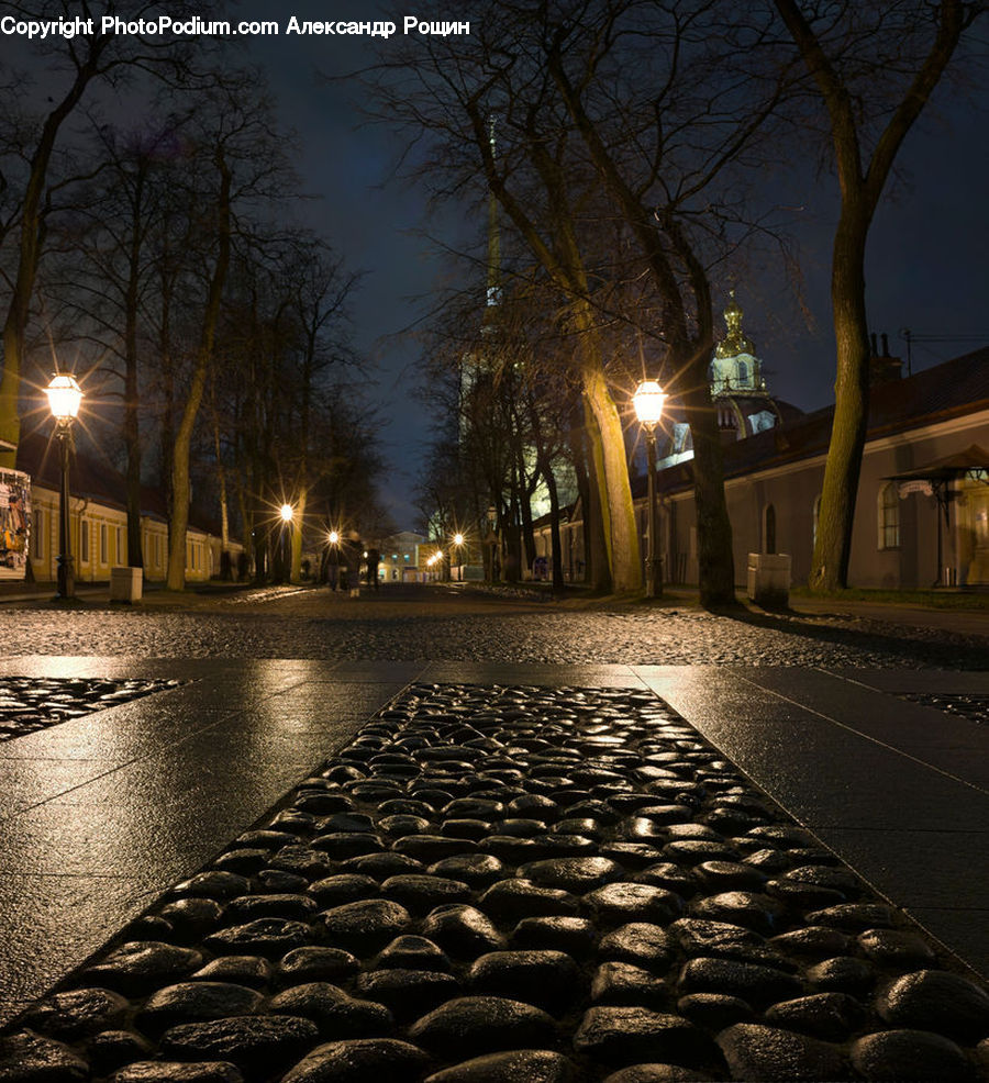Cobblestone, Pavement, Walkway, Plant, Tree, Night, Outdoors