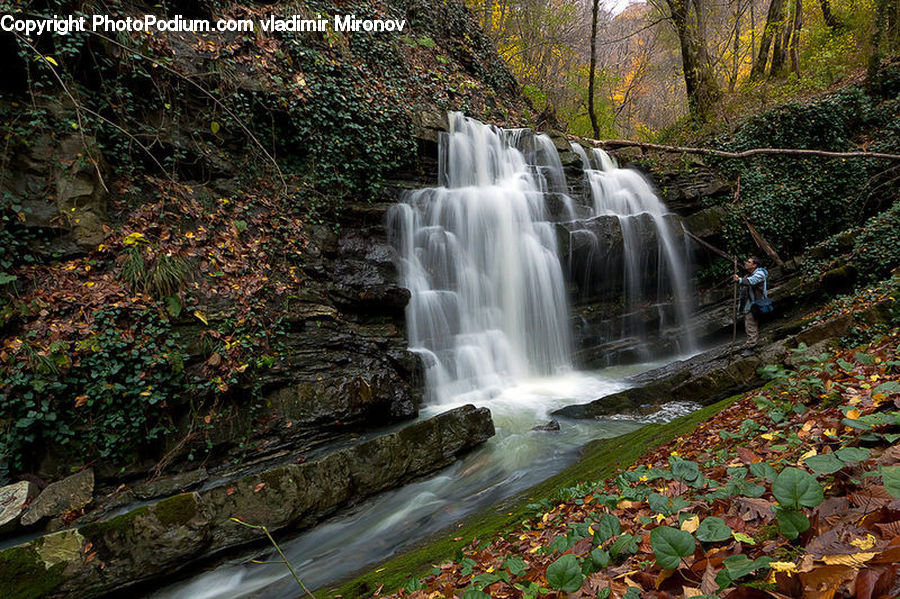 Creek, Outdoors, River, Water, Waterfall, Forest, Jungle
