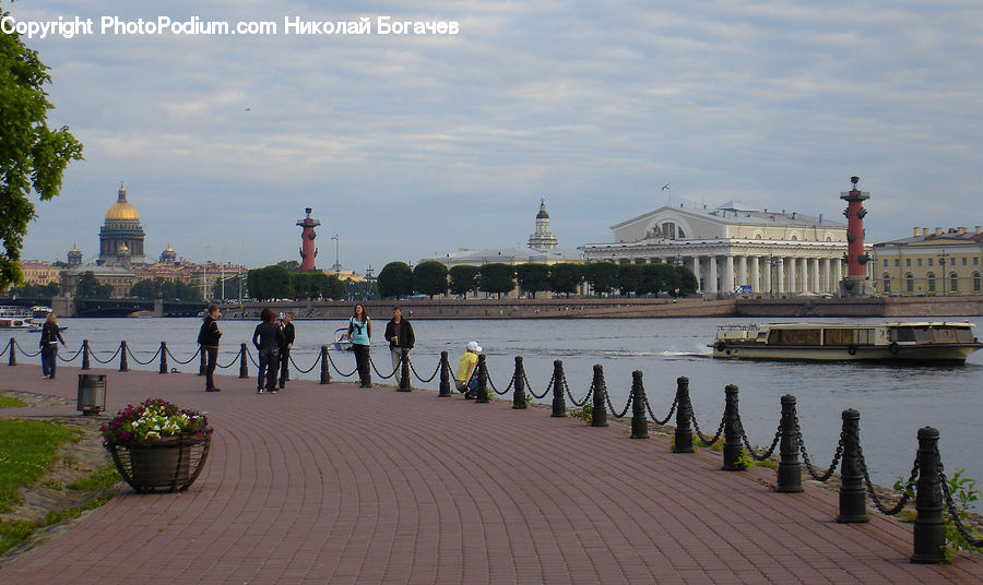 Plant, Potted Plant, Architecture, Dome, Boardwalk, Deck, Path