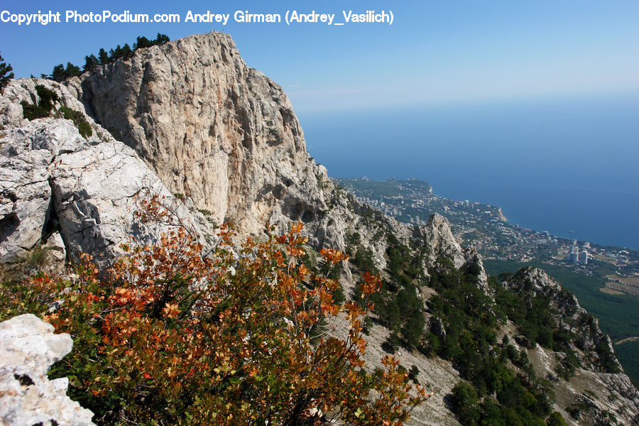 Crest, Mountain, Outdoors, Peak, Conifer, Plant, Tree