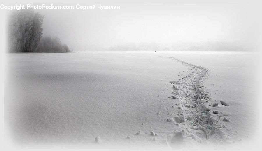 Blizzard, Outdoors, Snow, Weather, Winter