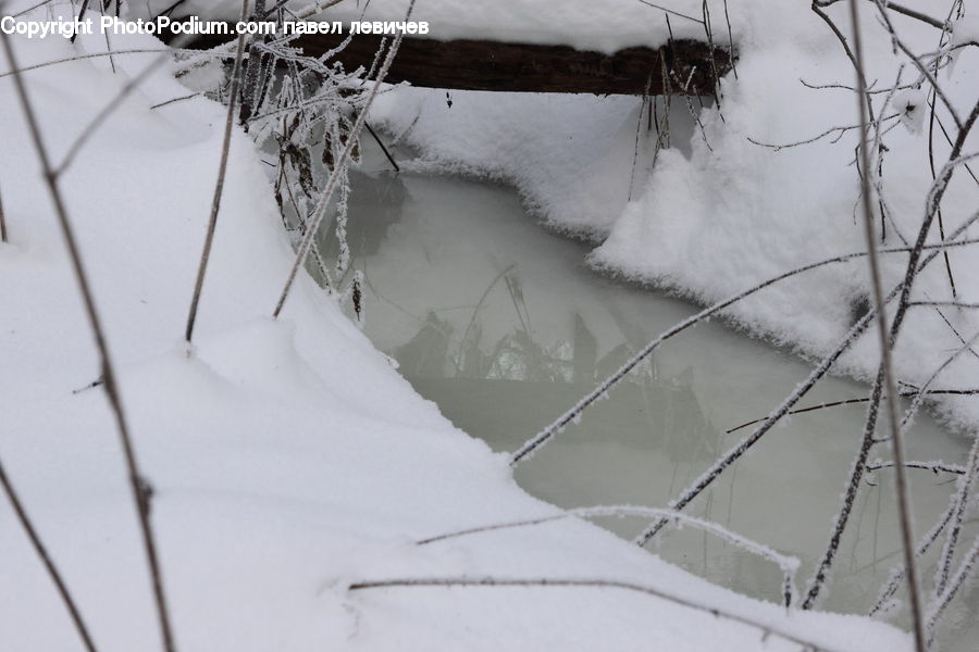 Ice, Outdoors, Snow, Birch, Tree, Wood