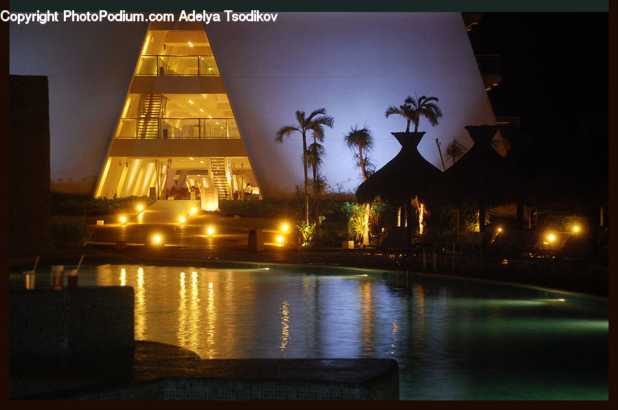 Plant, Potted Plant, Palm Tree, Tree, Hotel, Resort, Silhouette